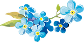 A watercolor-esque image of forget-me-not flowers.